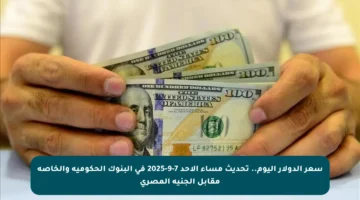 سعر الدولار اليوم.. تحديث مساء الأحد 7-9-2025 في البنوك الحكومية والخاصة مقابل الجنيه المصري